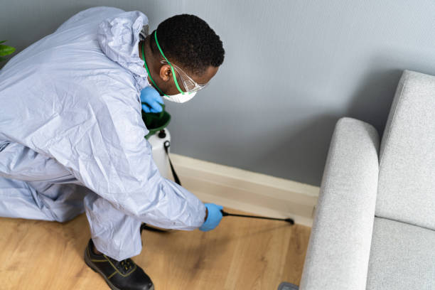 Professional Pest control in Bellingham, WA